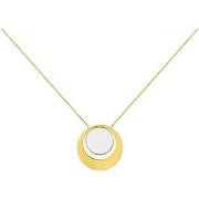 Ketting Phebus Collier Femme