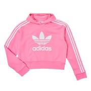 Sweater adidas CROPPED HOODIE