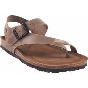 Sportschoenen Interbios Sandalia señora INTER BIOS 7162 taupe