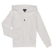 Sweater Polo Ralph Lauren LS HOODIE M2-KNIT SHIRTS-SWEATSHIRT