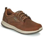 Lage Sneakers Skechers DELSON ANTIGO