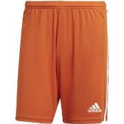 Korte Broek adidas Squad 21 Arancione