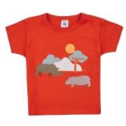 T-shirt Korte Mouw Petit Bateau FAON