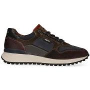 Sneakers Australian Oxford