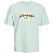 T-shirt Korte Mouw Jack &amp; Jones 12250436 JORLAFAYETTE