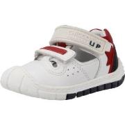 Lage Sneakers Chicco 1065442C