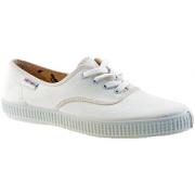 Sneakers Victoria Classic