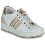 Lage Sneakers IgI&amp;CO -