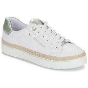 Lage Sneakers Tom Tailor 5390320023