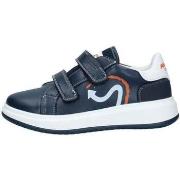 Sneakers Balducci -