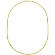 Ketting Phebus Collier Homme