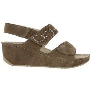 Sandalen Scholl ABERDEEN WEDGE