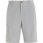 Korte Broek Slam Qd Cargo Short