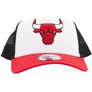 Pet New-Era CHICAGO BULLS