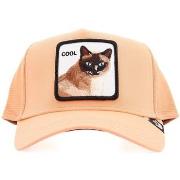 Pet Goorin Bros COOL CAT