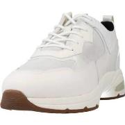 Sneakers Geox D ALHOUR