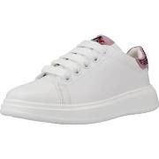 Sneakers Asso AG14520