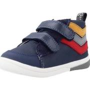 Sneakers Garvalin 231313G