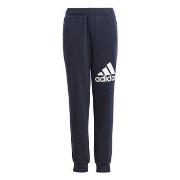 Trainingsbroek adidas Essentials Regular Fit Big Logo Cotton Joggers