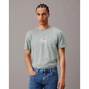 T-shirt Korte Mouw Calvin Klein Jeans J30J325687