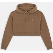 Sweater Dickies OAKPORT CROPPED HOODIE