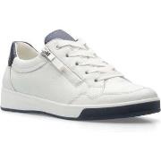 Lage Sneakers Ara -