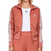 Blazer adidas -