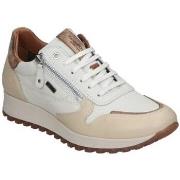 Lage Sneakers Kangaroos SNEAKERS 680