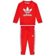 Trainingspak adidas -