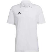 T-shirt adidas Ent22 Polo