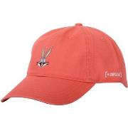 Pet Capslab Freegun Looney Tunes Cap