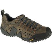 Wandelschoenen Merrell Intercept