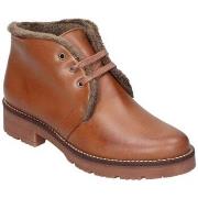 Laarzen Pitillos BOTTINES 10085