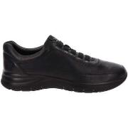 Sneakers Valleverde VV-360801A