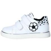 Sneakers Balducci -