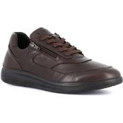 Lage Sneakers Grunland DSG-SC4310