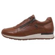 Lage Sneakers Kangaroos 632