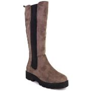 Laarzen Zapp BOTTES 27217