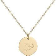 Ketting Phebus Collier Femme