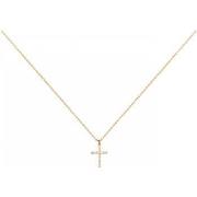 Ketting Phebus Collier Femme