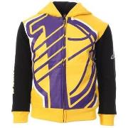 Sweater Nba -