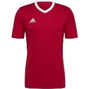 T-shirt adidas Ent22 Jsy