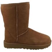 Laarzen UGG -