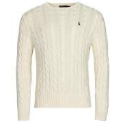 Trui Polo Ralph Lauren LS DRIVER CN-LONG SLEEVE-SWEATER