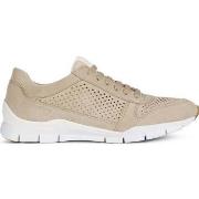 Lage Sneakers Geox -