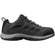 Wandelschoenen Columbia Crestwood Low