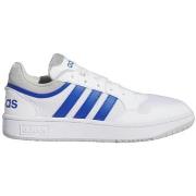 Sneakers adidas Hoops