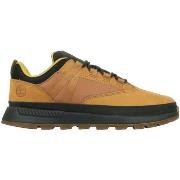 Laarzen Timberland Euro Trekker