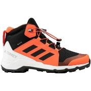 Wandelschoenen adidas Terrex