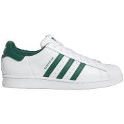 Sneakers adidas Superstar